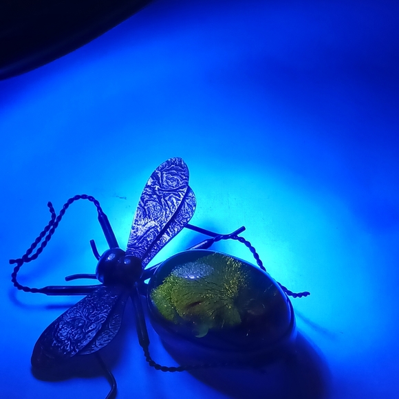 Vintage Amber Sterling Silver Bug Insect Brooch Pin - Picture 9 of 13